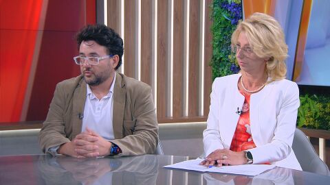 Снимка: Доц. Николай Димитров: Основната вина остава на родителите. Адв. Зорница Костова: Законът ни е доста по-благосклонен към деца