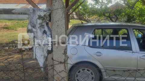 Снимка: Брутално убийство в Съединение: Бивш офицер уби и разфасова 27-годишен мъж (СНИМКИ)