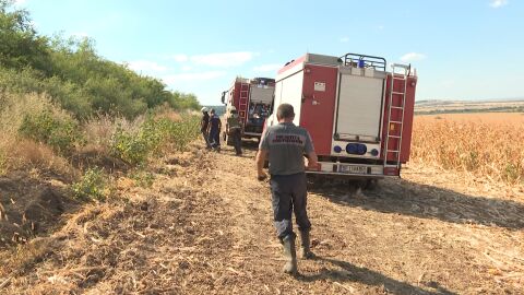 Снимка: Огънят бушува вече 36 часа: Пожарът в Белослатинско изпепели над 10 000 декара