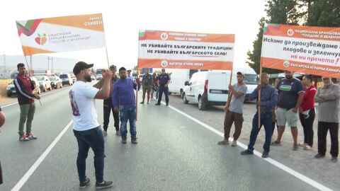 Снимка: Тонове плодове отиват на боклука: Производители протестират заради ниските изкупни цени в Сливен