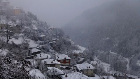 Защо зимата у нас става все по-мека и какъв е ефектът от климатичните промени?