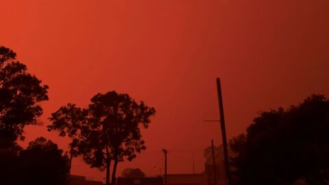 Гореща вълна обхвана Южна Австралия и предизвика пожари