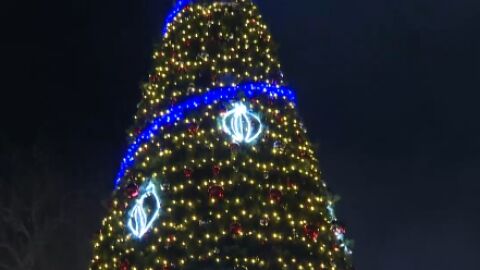 Коледната елха в Пловдив грейна, последва пищна заря