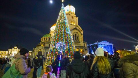 Коледната елха на София грейна тази вечер с над 20 000 светлини
