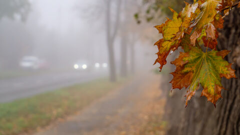Времето на 4 декември: Мъгливо утро и необичайно високи температури