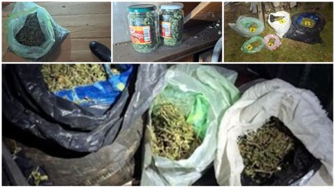 8 кг марихуана са иззети при спецакция на полицията в Бобов дол