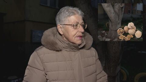 „Благодарение на репортажа промениха решението“: Осъдиха мъжа, пребил възрастна жена за пет ореха в Сливен