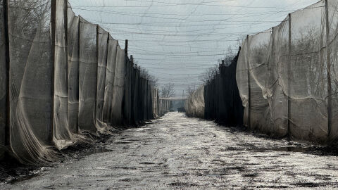 Украинският военен говорител: Руските войски са блокирани в северната част на Купянск