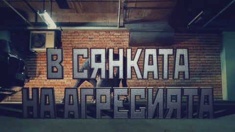 bTV Репортерите: В сянката на агресията