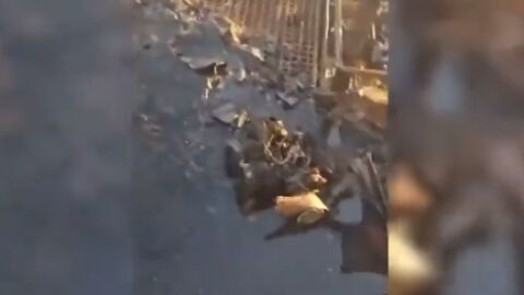 Украйна: Русия е атакувала с дрон турски товарен кораб (ВИДЕО)