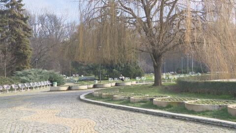 Коледа, но не бяла: И тази година снежен човек ще има само в детските рисунки