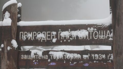 Турист е починал на Витоша, друг е пострадал при подхлъзване