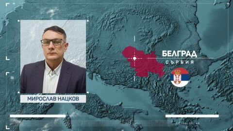 Балканският картел: Какво ще се промени след освобождаването на Сретен Йосич 