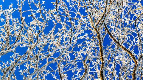 Астрономическата зима идва с превалявания от дъжд и температури до 12°