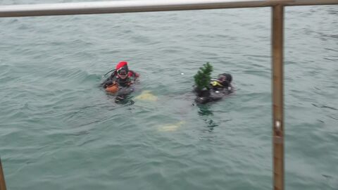 Бъдни вечер край морето в Бургас: Водолази от цялата страна търсят подаръци на морското дъно