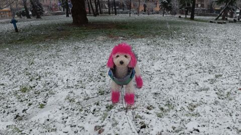 Бяла Коледа: Сняг вали в цялата страна (СНИМКИ)