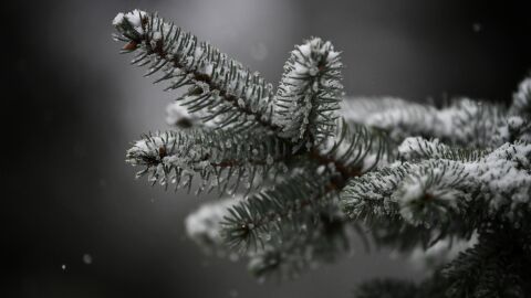 Ветровито и студено на Стефановден