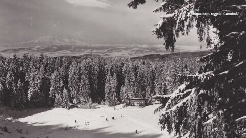 От Чамкория до Боровец: Как е възникнал един от най-големите ни ски курорти?