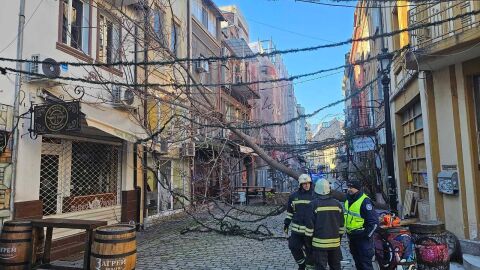 Силен вятър мобилизира пожарната в Пловдивско, близо 20 сигнала за паднали дървета