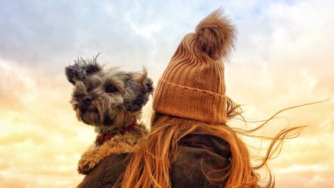 Силен вятър в почти цялата страна в понеделник – 29 декември