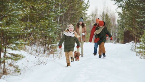 Кога ще са ваканциите и неучебните дни до края на тази учебна година?