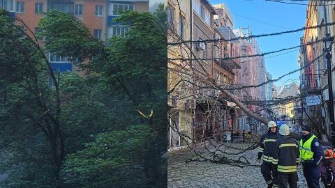 На общо 159 сигнала в цялата страна са реагирали екипите на пожарната заради силния вятър