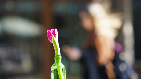 Слънчева съботата с температури до 15 градуса