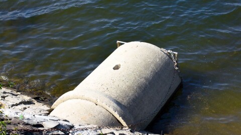 Откриха дива форма на вируса, причиняващ детски паралич, в германската канализация