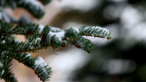 Валежи в Южна България в четвъртък