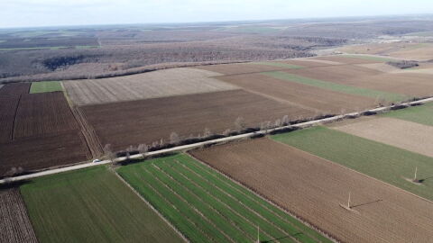 Собственици на земи: Над 3 милиона българи ще бъдат ощетени от промените за арендата и договорите за земеделска земя
