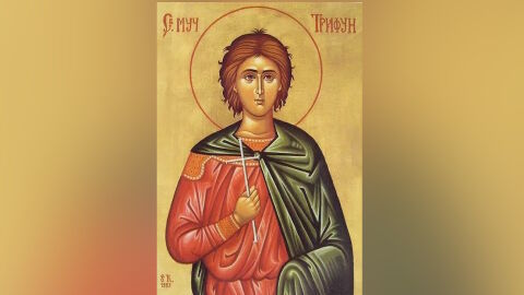 Трифоновден е (нов стил): Кой има имен ден?