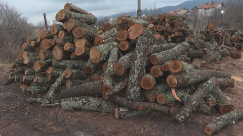 Цената на дървата за огрев: Домакинствата вече подават заявления за по-евтини