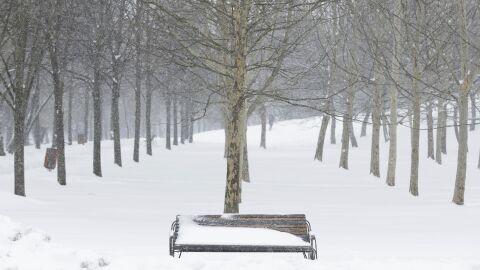 Нова студена вълна скова Румъния, в Букурещ зимата се завърна с 15 см снежна покривка