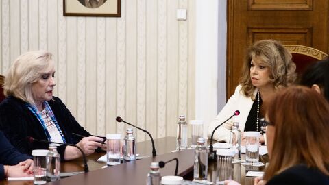 ДПС-НН при президента: Служебният премиер трябва да има административен опит и да познава структурите на държавата