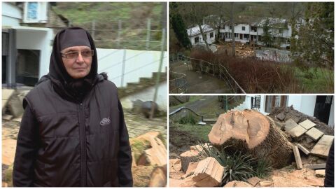 Вековно дърво падна и разруши покрива на манастир. Монахиня потърси помощ във фейсбук