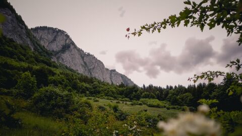 От 3 градуса на северозапад и до 15 на югоизток на 6 февруари 