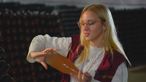 Подземен свят на виното: Над 158 редки вина се пазят на площ от 120 кв.км.