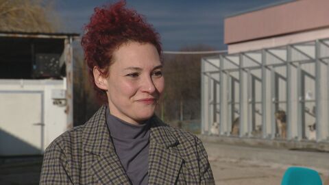 „БезДОМен или ДОМашен? Ключът е в теб!“: QR код показва цялата история на кучето