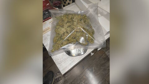 С помощта на отряд „Кобра“ е разбита група за производство и разпространение на дрога (СНИМКИ и ВИДЕО)