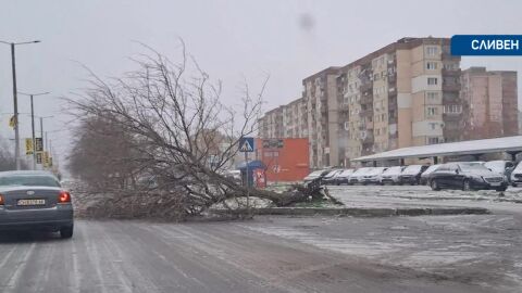 Зимата се завърна: Снегонавявания по пътищата, в Смолян - частично бедствено положение 
