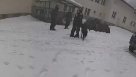 Психиатърът д-р Веселин Герев за случая „Петрохан“: Най-агресивни са интелигентните психопати