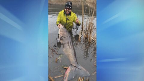 Гигант от водите край Хасково: Рибар извади чудовищен толстолоб – над 1,6 метра