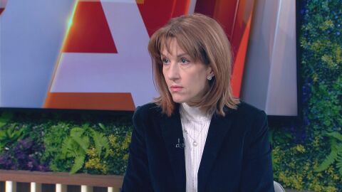 Камелия Нейкова: Цицелков трябва да напусне и Обществения съвет към ЦИК