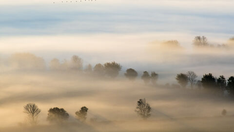 До 13 градуса в четвъртък
