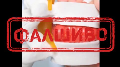 Измама в интернет: Появи се фалшив клип с проф. Николай Габровски и Виктория Петрова 