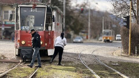 Силният вятър повали още дървета в София и затрудни движението на трамваите