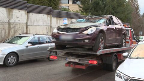 Продължава разследването, след като дърво падна върху автомобил, убивайки 31-годишна майка на две деца