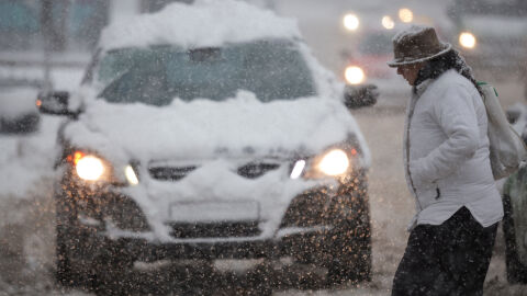 Жена загина, след като над 10-метров бор падна върху нея в Сараево