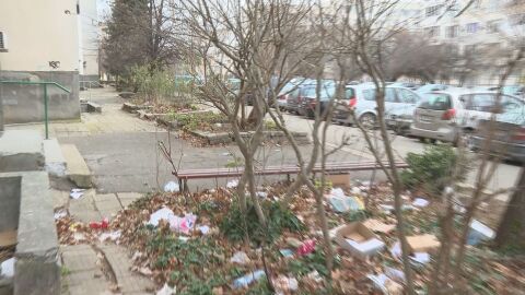 Торби за смет по дърветата – не е коледна украса: Вятърът разпиля отпадъците в кв. „Люлин“