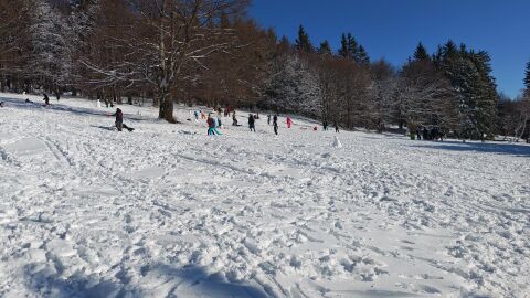 Сняг и лед в София: 109 снегопочистващи машини са на терен
